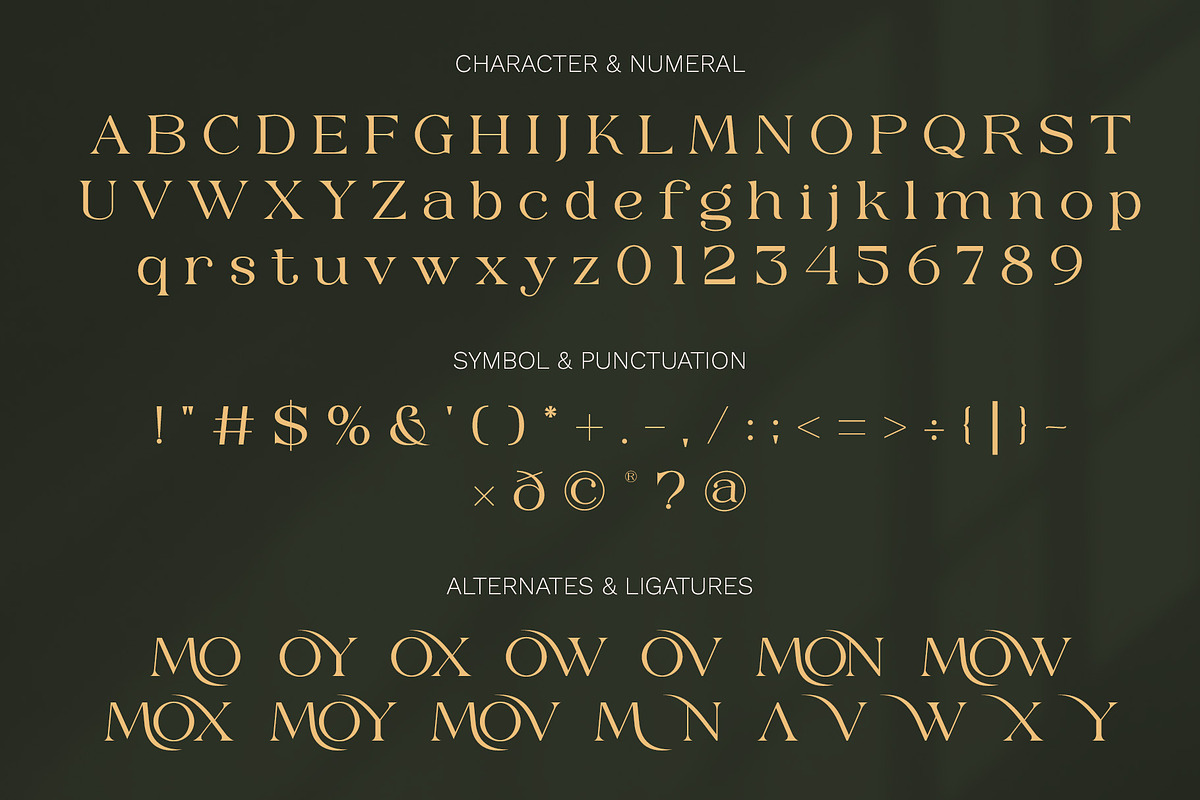 Monblan - Elegant Serif Typeface, a Serif Font by Muflieart (Photo 4 of 10)