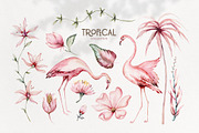 Tropical watercolor collection, an Animal Illustration by Peace ART (Thumbnail 3 of 16)