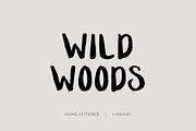 Wild Woods: A Hand-Lettered Font, a Sans Serif Font by Britt Fabello (Thumbnail 1 of 6)