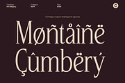 CS Allegory – Elegant Serif Font, a Serif Font by Craft Supply Co. (Thumbnail 4 of 8)