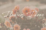 California Party, a Handwritten Font by CreateBigSupply (Thumbnail 7 of 10)