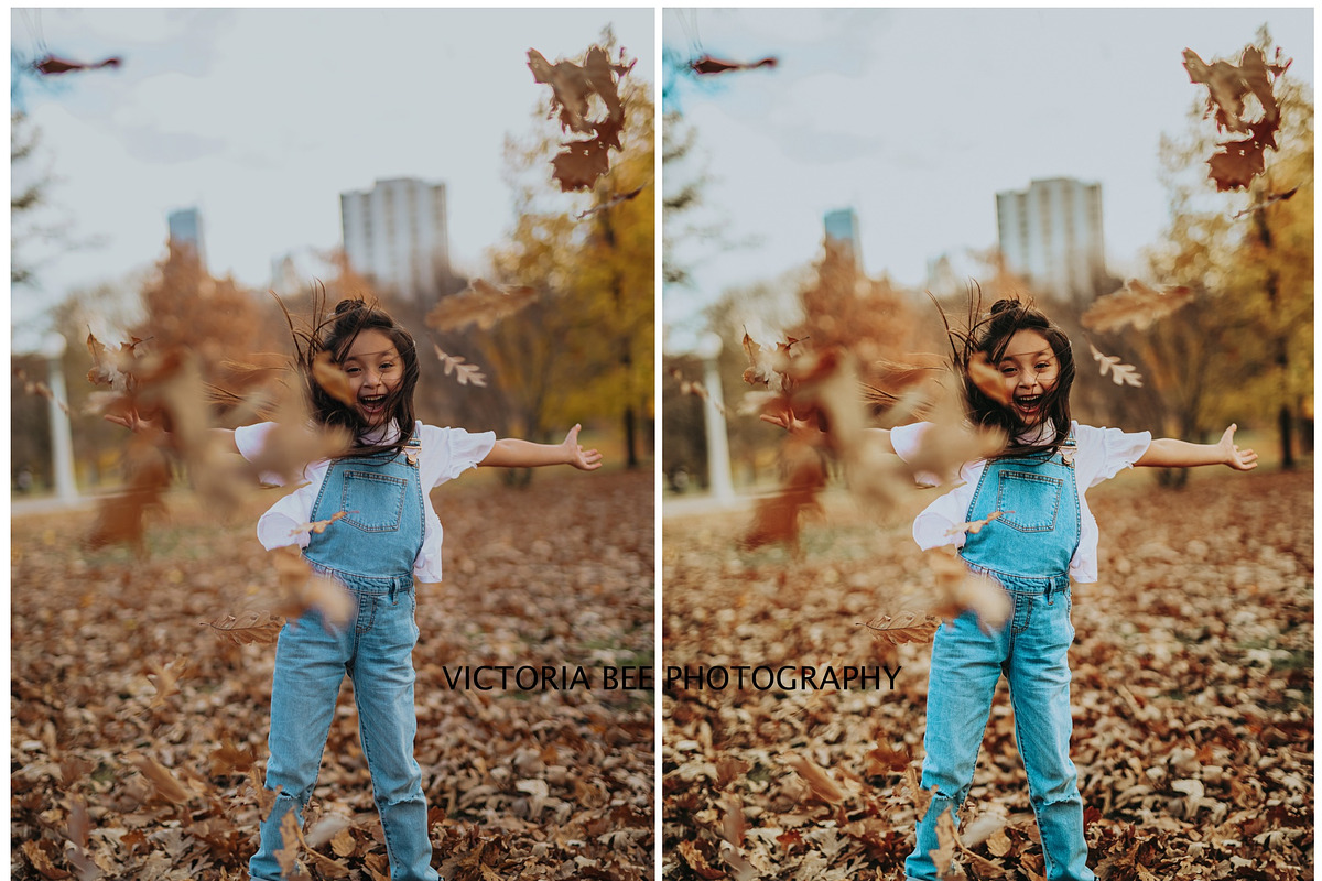 RICH AUTUMN LIGHTROOM PRESETS, a Preset Add-On by Victoria Bee Presets (Photo 4 of 9)