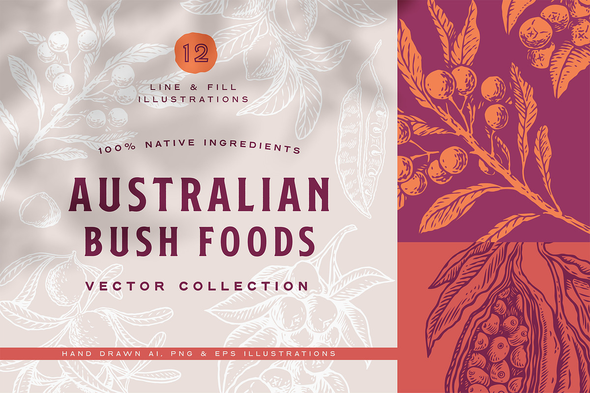 Australian Botanicals 4 in 1 Bundle, a Decorative Illustration by rouxsupplyco (Photo 20 of 25)