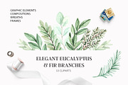 Elegant eucalyptus & fir branches, a Decorative Illustration by Kate Macate (Thumbnail 1 of 6)