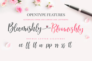 Bloomishly Brush Font