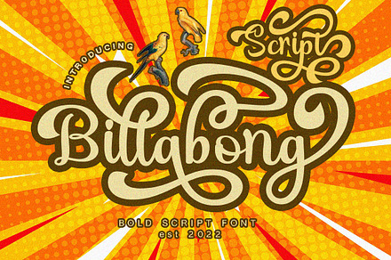 Script Billabong, a Script Font by tm.type