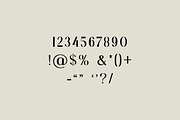Birgine Modern Serif Font, a Serif Font by UICreative (Thumbnail 6 of 12)