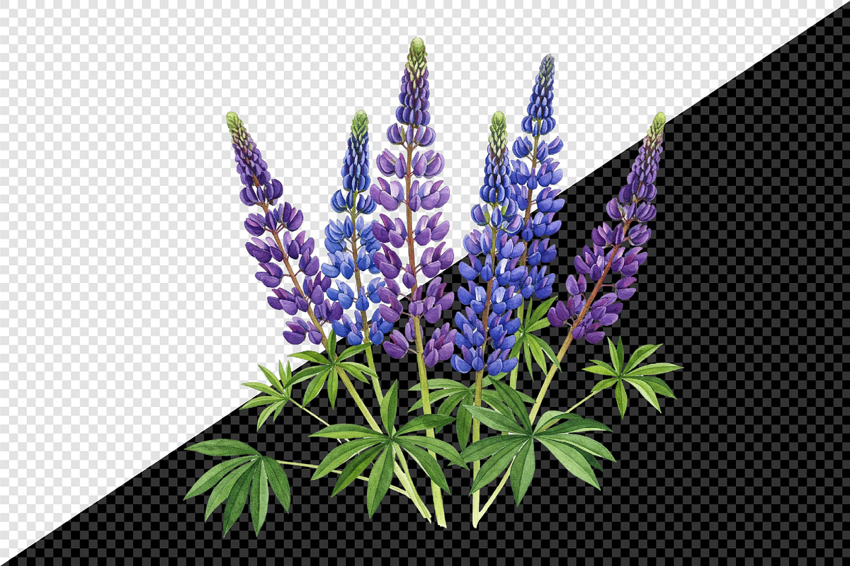 Wild Flowers, Butterflies and Dragon, an Illustration by Creative Art (Photo 4 of 9)