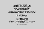 Thiger Feron Bold Expressive Brush, a Handwritten Font by Maulana Creative (Thumbnail 6 of 7)