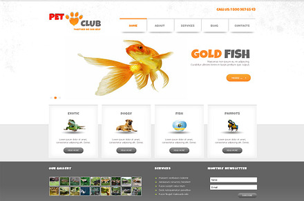 Pet Club - Animals Joomla Theme