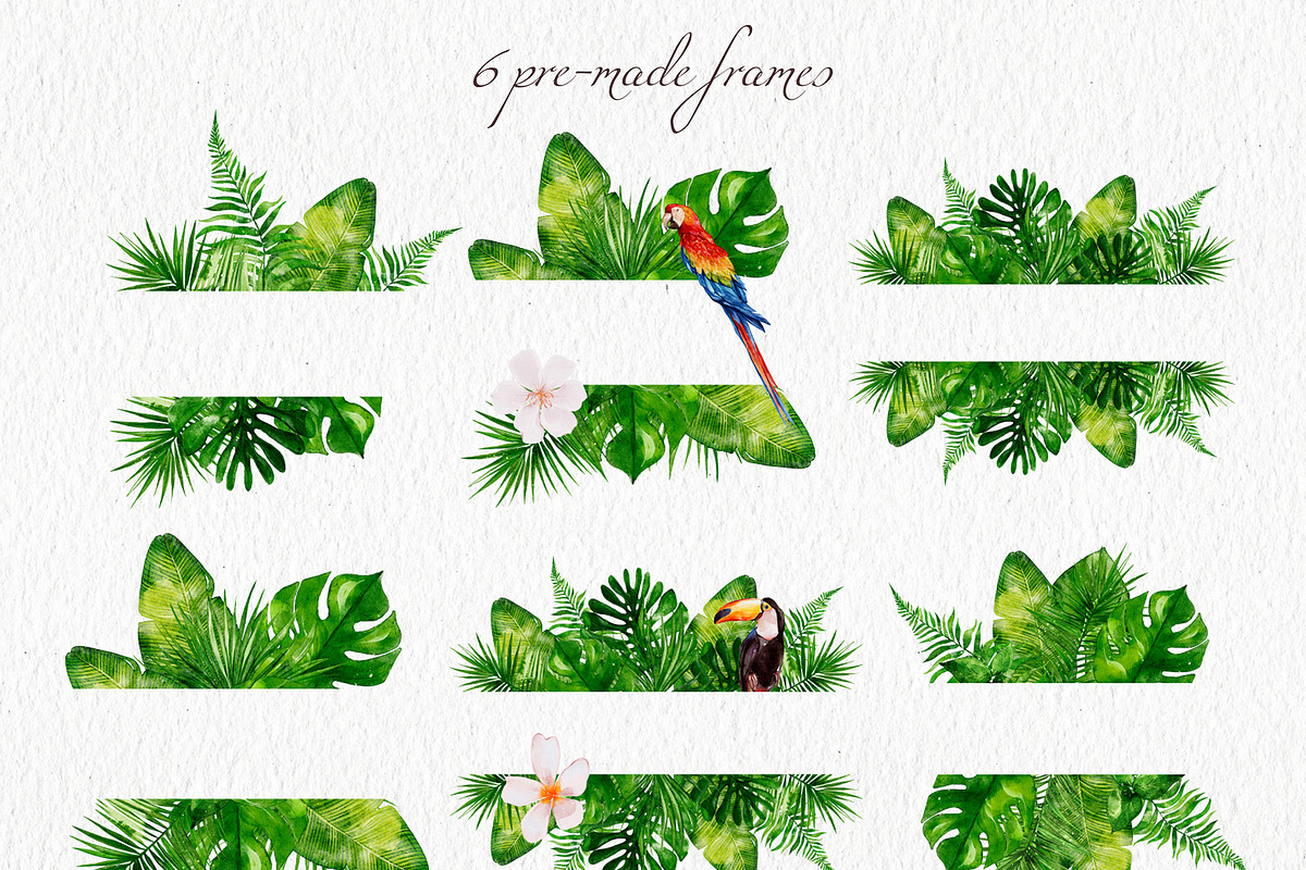 Tropical Collection Watercolor, a Decorative Illustration by Yakovleva Margarita (Photo 7 of 20)
