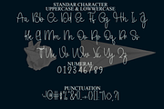 Snowing Signature, a Handwritten Font by FreshTypeINK (Thumbnail 2 of 8)