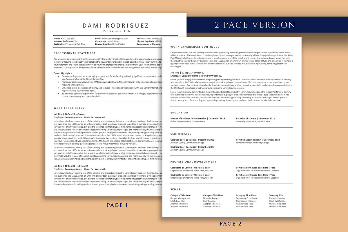 Federal Resume, ATS Resume Template, USA Jobs Resume, Government Job