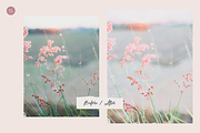 Sparkling Spring – 10 LR Presets, a Preset Add-On by SHOOM HOUSE (Thumbnail 5 of 7)