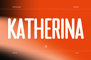 Katherina - Modern Condensed Sans, a Sans Serif Font by Typeformers (Thumbnail 1 of 10)