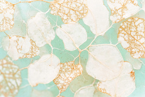 Plant cells in close-up detail creat, a Photo by Dvoevnore photos