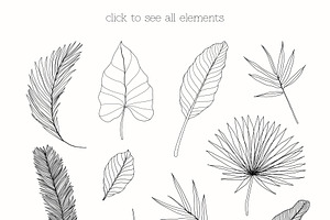 Line Art Tropical Leaves Clipart.