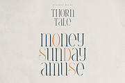 Thorn & Tale – A Refined Serif Font, a Serif Font by VP Fonts (Thumbnail 17 of 30)