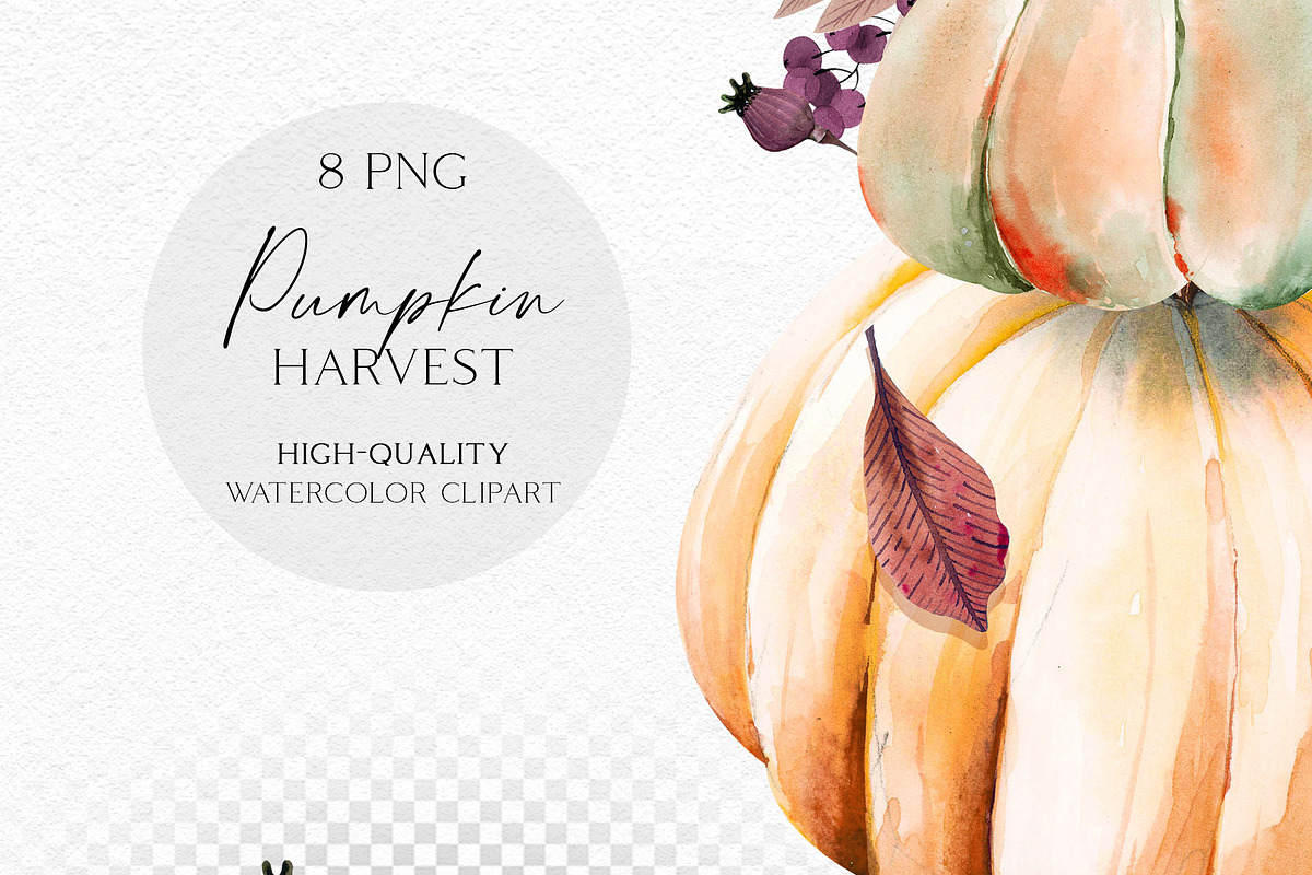 Harvest Time Watercolor Set, a Food Illustration by Olga Koelsch (Photo 11 of 14)