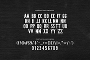 Ethiopia - Embroidery Serif BX Font, a Serif Font by overlaytemplates (Thumbnail 4 of 5)