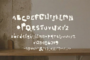 Kaktus display font, a Symbol Font by ALIVECREATIVE (Thumbnail 4 of 5)
