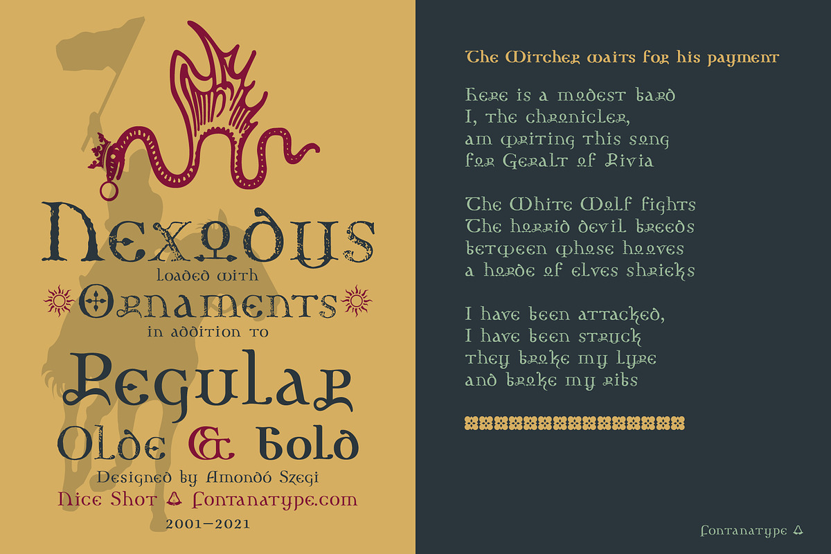 Nexodus, a Serif Font by Fontanatype (Photo 10 of 11)