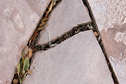 Alphabet Photography Letter A, a Nature Photo by Artistic Letters (Thumbnail 7 of 7)