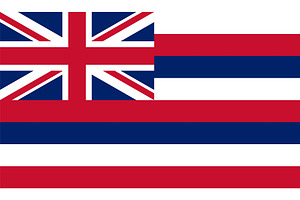 Hawai i US State Vector Illustration