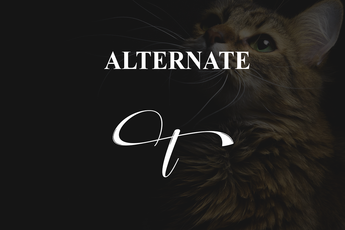 Creature | Script Font, a Blackletter Font by Scratchones (Photo 8 of 9)