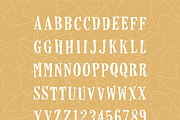 Horseshoes & Lemonade + Bonus Assets, a Serif Font by Lauren Ashpole (Thumbnail 5 of 7)