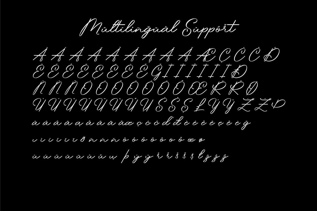 Pitaloka Stylish Signature Font, a Script Font by Naufal Labs (Photo 10 of 10)