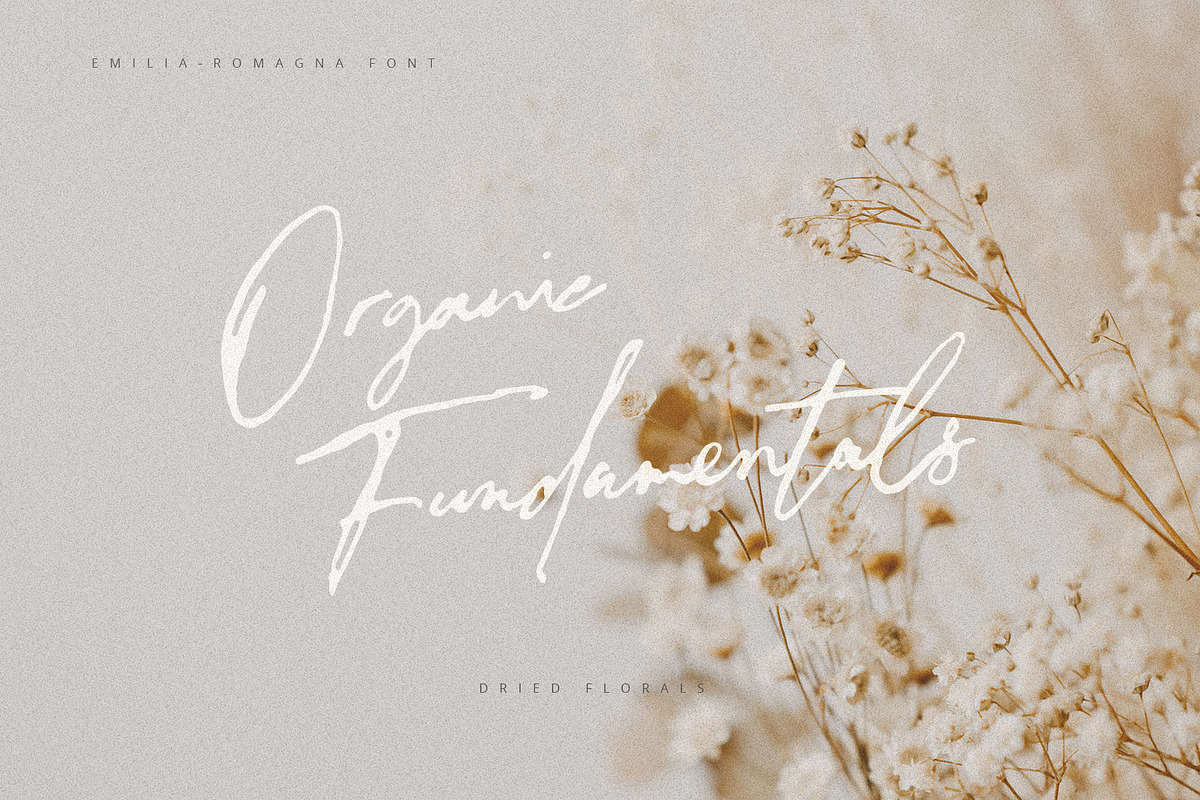 Emilia-Romagna Script Font, a Script Font by Creativeqube Design (Photo 6 of 13)