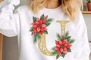 Elegant Christmas Alphabet Sublimati, an Illustration by SinaCreation (Thumbnail 4 of 7)