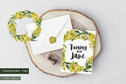 Mimosa. Yellow watercolor flowers., an Illustration by Noli Molly Store (Thumbnail 3 of 6)