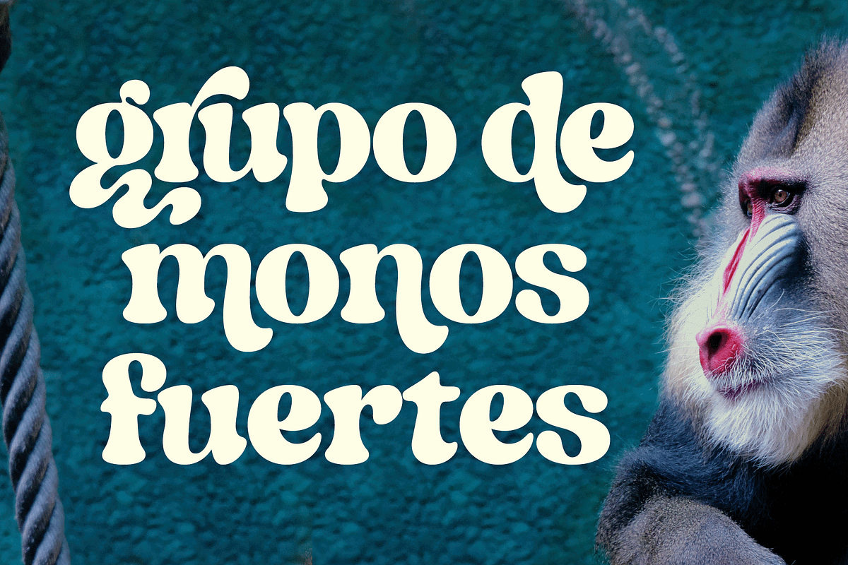Indigo Sky - Retro Serif, a Serif Font by Fenotype (Photo 15 of 15)
