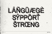 Telefax TM – Eroded Fax Typeface, a Sans Serif Font by Type Mania (Thumbnail 8 of 9)