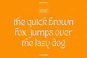 TAN - LUNA NEGRA, a Serif Font by TanType (Thumbnail 10 of 16)
