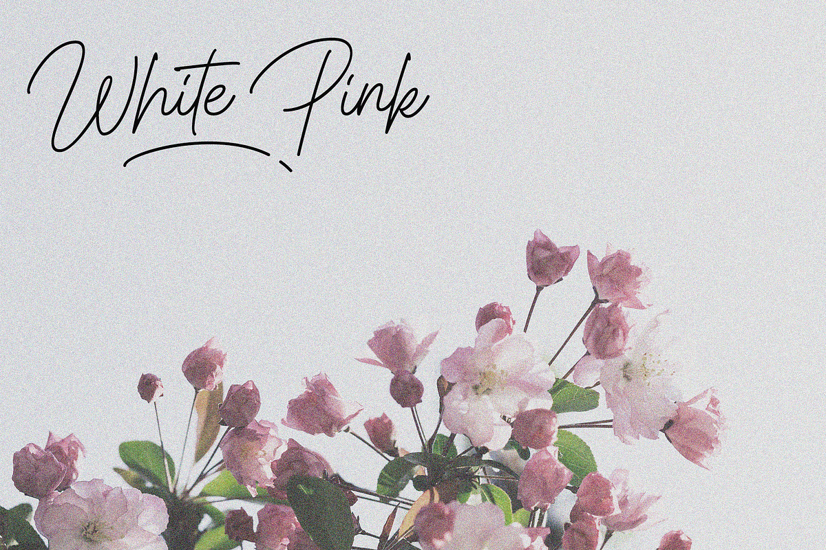 Paragraphy script font, a Script Font by MJtypefoundry (Photo 10 of 12)