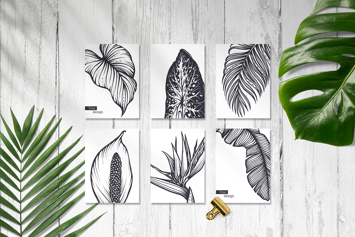 Tropical nature vector set, an Animal Illustration by Molly art (Photo 9 of 15)