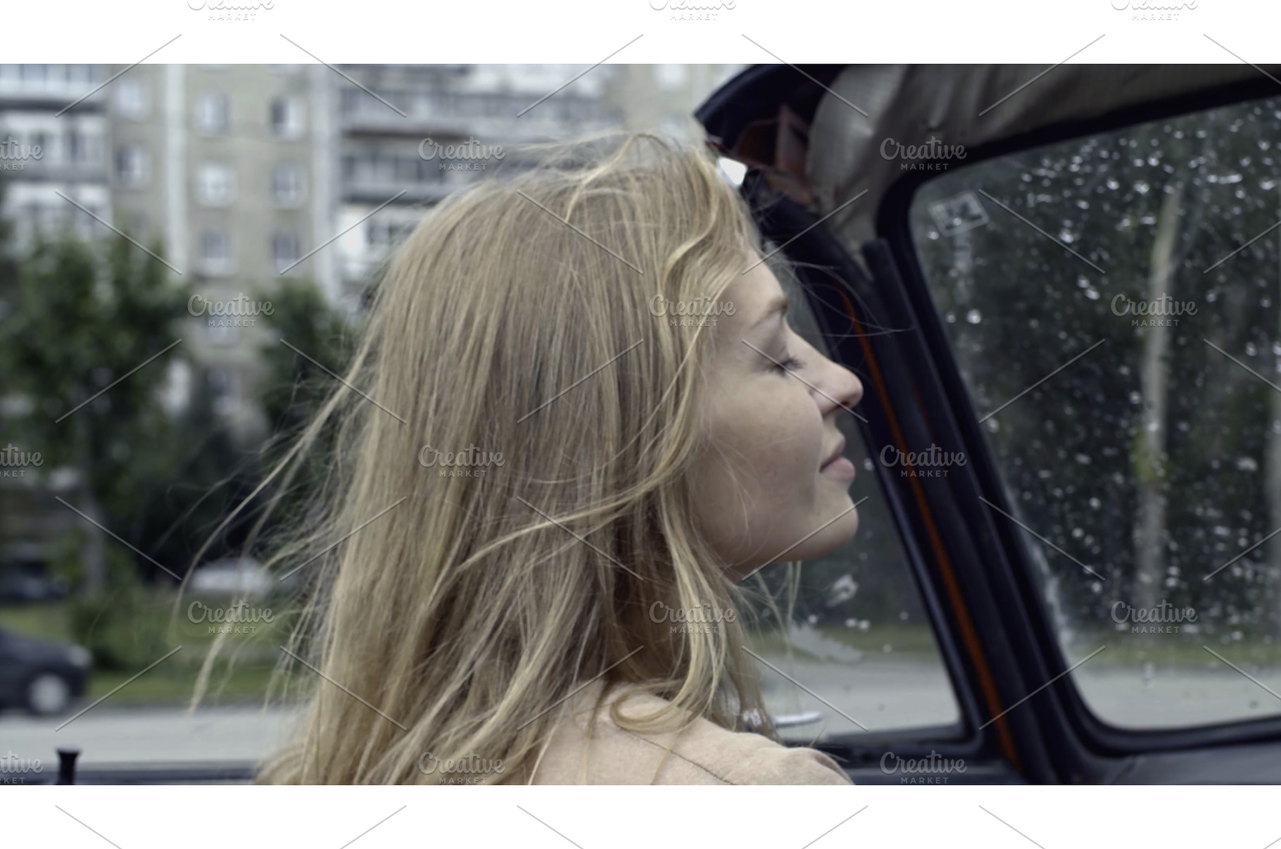 Young woman on passenger seat in a, a Person Photo by Media Whale Stock