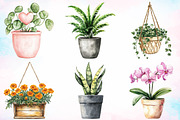 Watercolor Potted Plants Clipart PNG, an Illustration by Canvas Craft (Thumbnail 3 of 3)