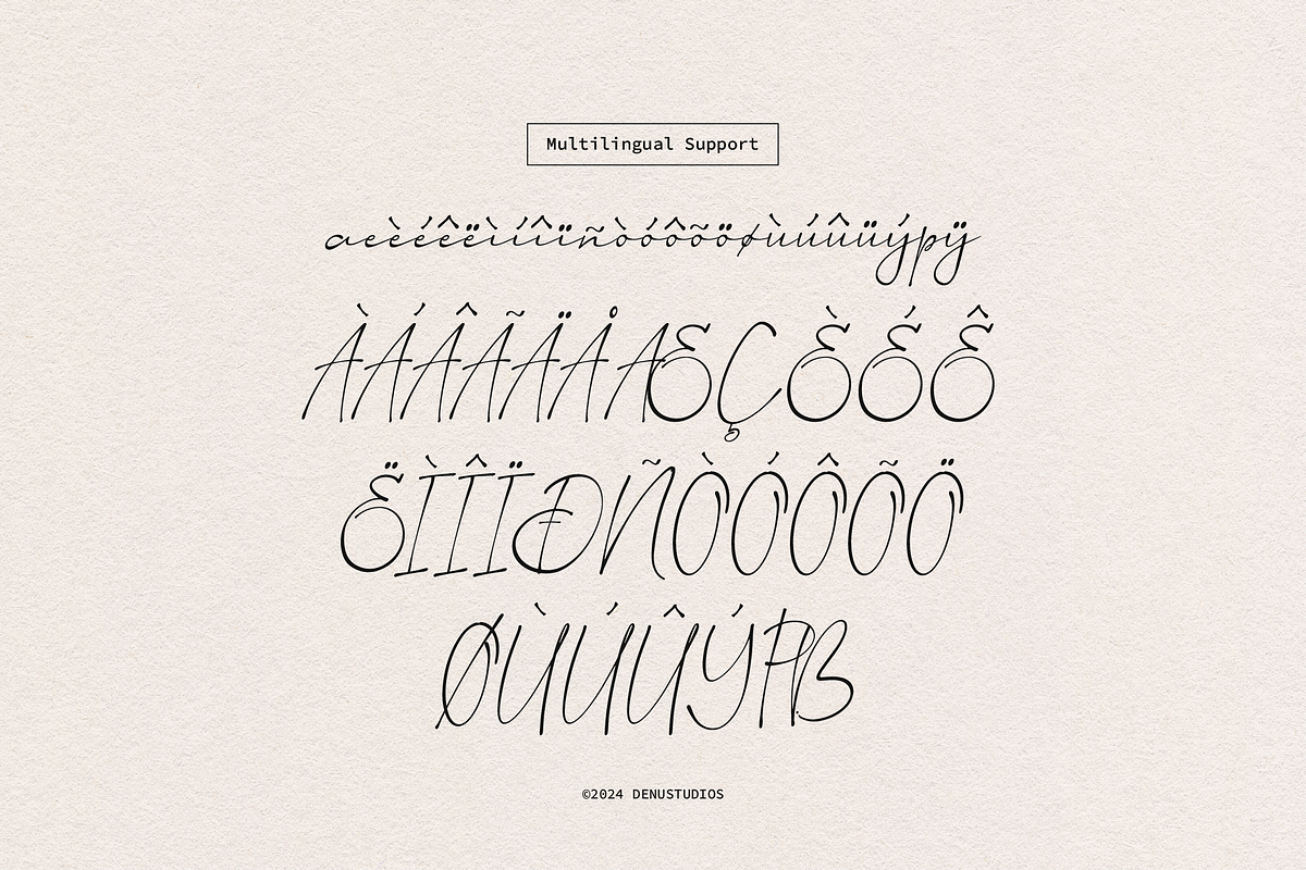 Aesallyn | Classic Signature Font, a Script Font by Denustudios (Photo 13 of 13)