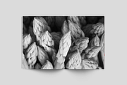 Natural Food Recipes, a Brochure Template by silukEight (Thumbnail 11 of 14)