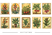 Vintage Garden Packets, a Seasonal Illustration by karenfoleyphoto (Thumbnail 13 of 15)