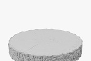 Wood Log Slice, an Environmental 3D Model by 3D_PikNik (Thumbnail 10 of 15)