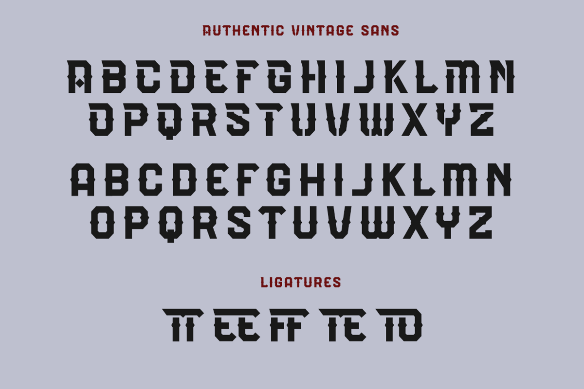Authentic Vintage Sans & Script, a Script Font by Absonstype (Photo 11 of 12)