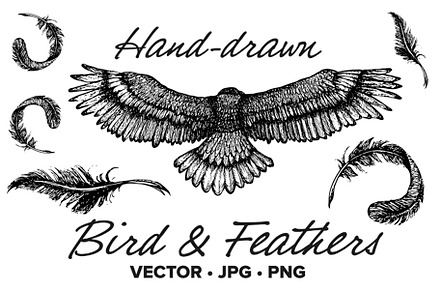 Hand drawn bird & wings vector