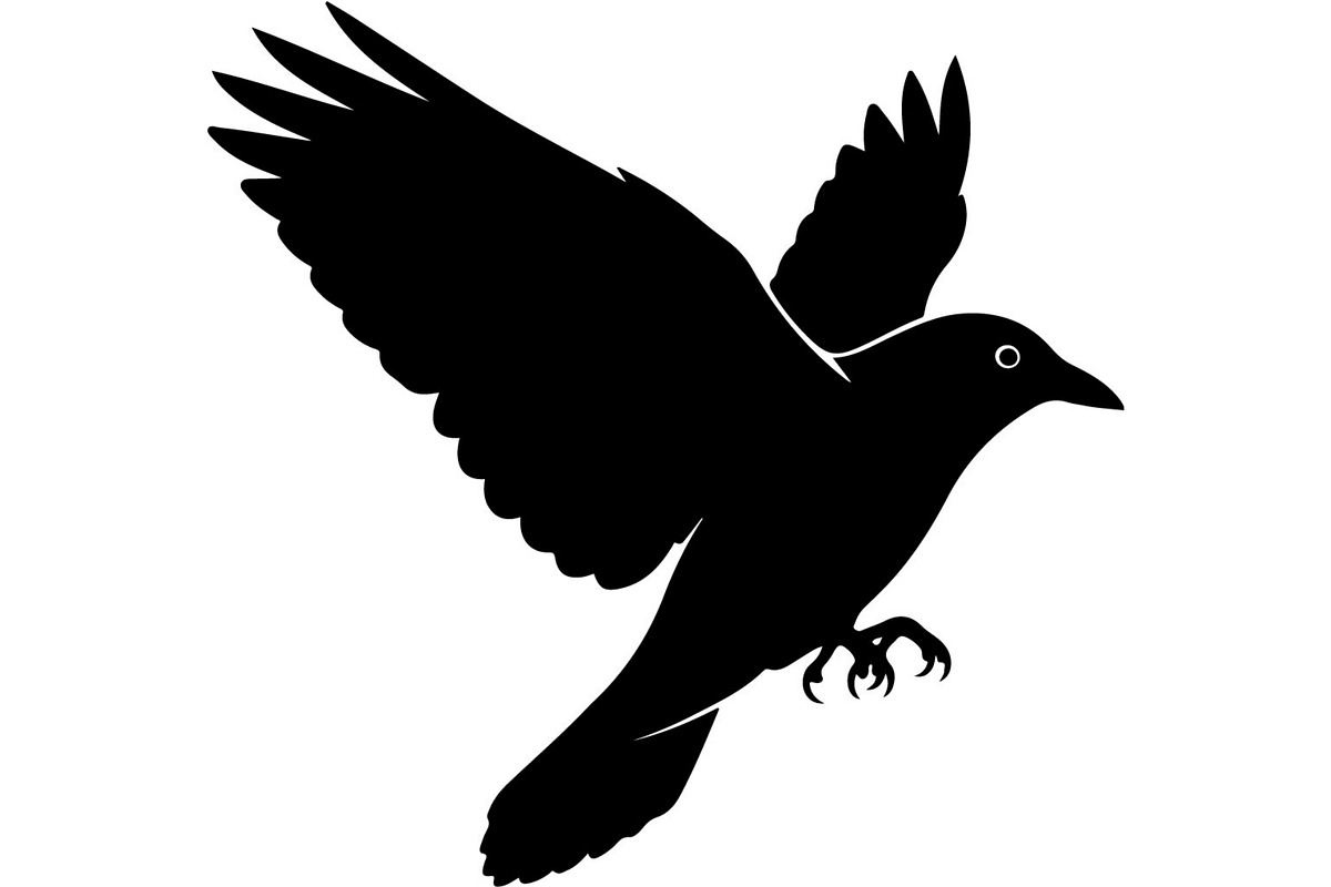 Bird Silhouettes Flying Sideways, an Animal Illustration by Designer_Momina (Photo 3 of 21)