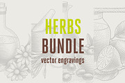 Herbs Bundle engravings, a Food Illustration by Irina Trusova (Thumbnail 1 of 9)