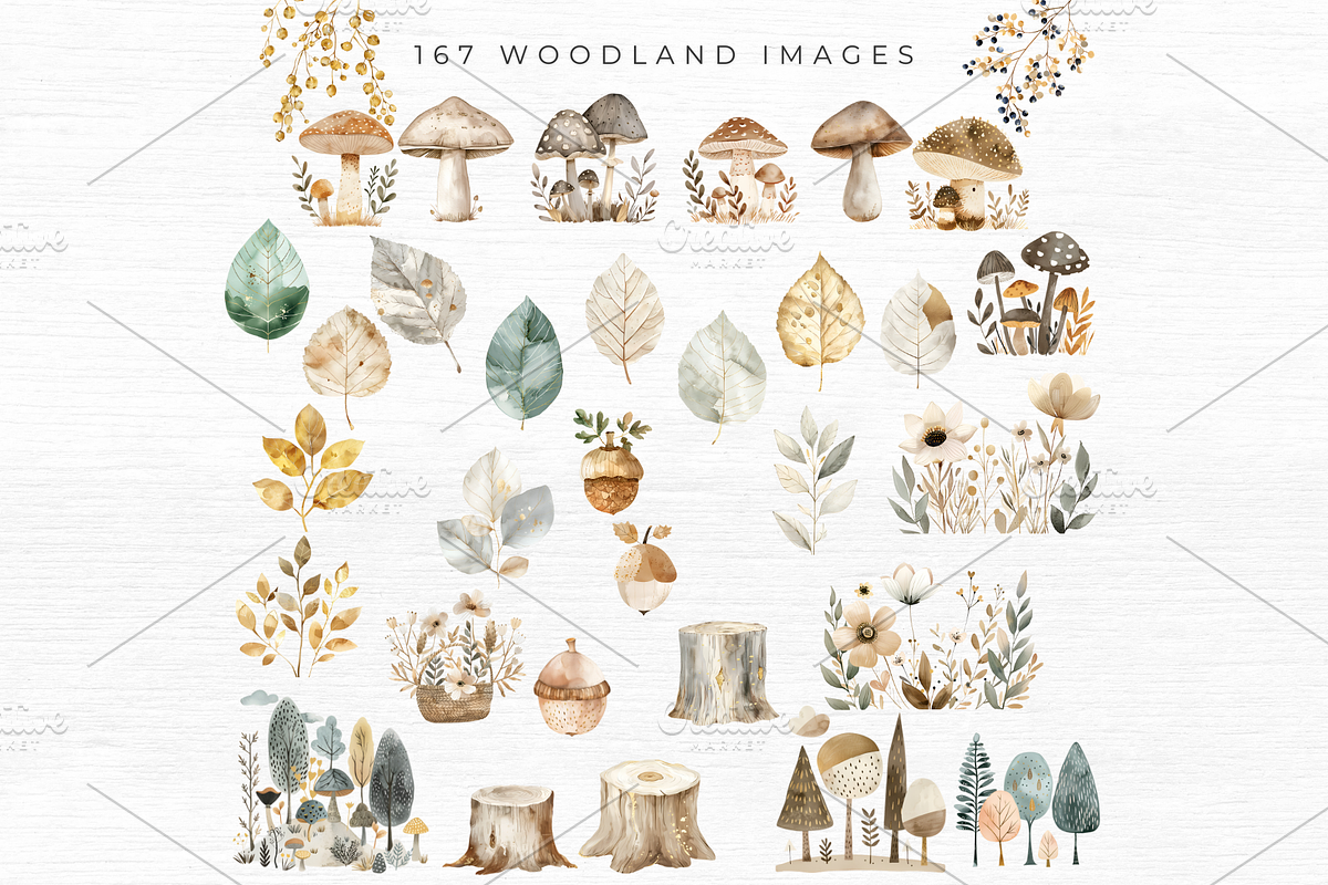 Woodland Animal Clipart, an Animal Illustration by EllyandLima (Photo 7 of 10)
